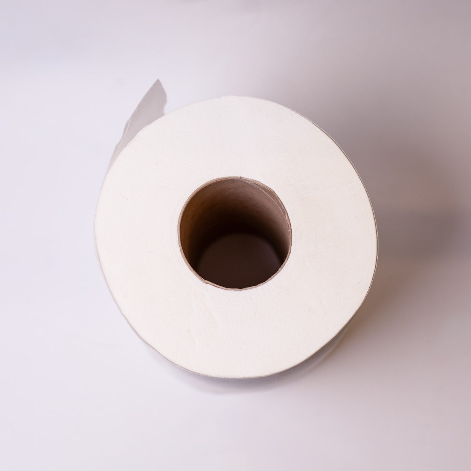 Bobina Industrial de Papel Secamanos 800g - Imagen 2